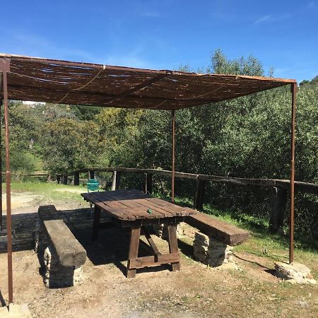 Cigarra Sierra Villa Кордоба Екстериор снимка